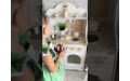 Детская игровая кухня "Сканди БИГ" с интерактивной плитой